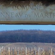 Les vignes de Bourgogne au coeur des spéculations financières