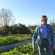 Michel Bras dans son jardin :  » le métier de cuisinier commence là ! « 
