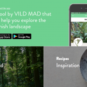 Vild Mad, l’application de René Redzepi pour vous éduquer au aliments de la nature environnante !
