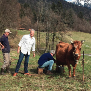 Les chefs Anthony Bourdain et Éric Ripert dans les Alpes françaises à la découverte des bons produits
