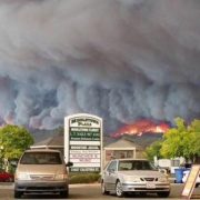 Napa Valley, après la désolation des pires incendies de toute son histoire, il faut que la vie reprenne