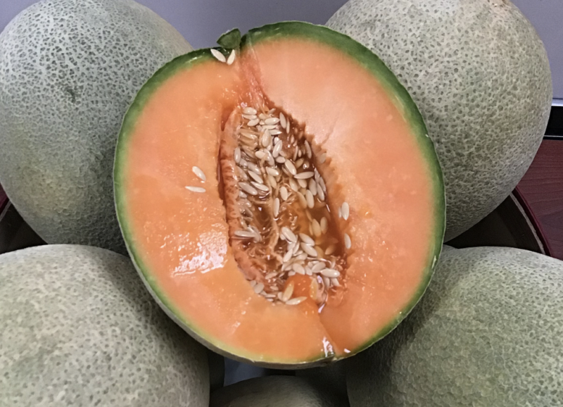 aliments canicule