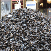 Lille – La Grande Braderie de septembre – quand les moules posent plus de problèmes que les frites !