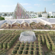 En 2020 Paris disposera de la plus grande ferme urbaine au monde, 14000 m2 surplomberont le Hall 6 du parc des Expositions
