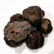 Le truffe noire (Tuber Melanosporum) est arrivée dans les cuisines des chefs