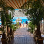 Un jour/une adresse/un resto – Carré Mer – Le restaurant de la plage privée de Jacques & Laurent Pourcel