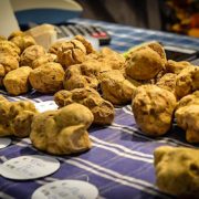 XXIIe Vente aux enchères mondiale de la truffe blanche d’Alba – 103 000 euros pour une truffe blanche de 830 grammes